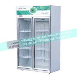 达硕保鲜设备制造-沧州饮料柜-风冷饮料柜品牌