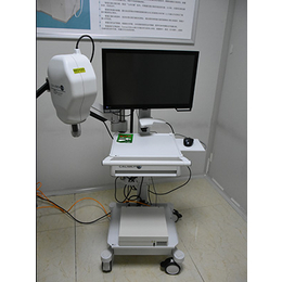 在体反射式共聚焦显微镜-三维皮肤CT缩略图