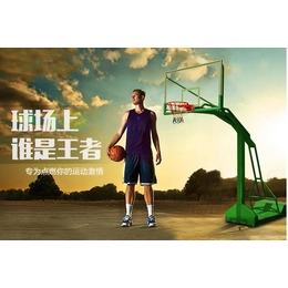 篮球架价格-陕西篮球架供应商(在线咨询)-咸阳篮球架