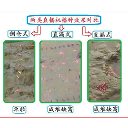 水稻覆膜*机多少钱-北京水稻覆膜*机-荆门诚播农业公司