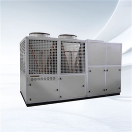 天津五洲同创制冷设备-咸阳屋顶空调-屋顶空调机组