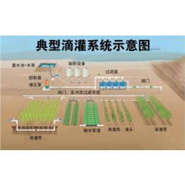 蔬菜水肥一体化,来宾水肥一体化,南宁宏振灌溉