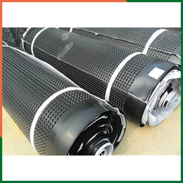 天津塑料排水板-华耀工程-塑料排水板生产