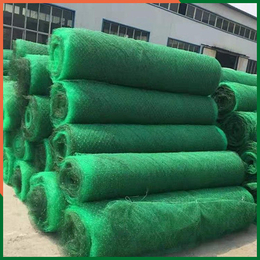 绿化三维网垫价格-华耀工程(在线咨询)-绿化三维网垫