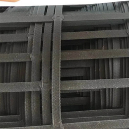 复合钢塑土工格栅制造商-浙江复合钢塑土工格栅-大广新材料