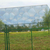 绿色框架护栏网 别墅安全围栏网 果园护栏网厂家*缩略图1