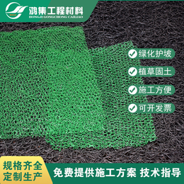 亳州植草固土三维植被网坡面防护网供应