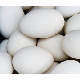 达信雁鹅肉质鲜美(图)-散养雁鹅种蛋多少钱一只-散养雁鹅种蛋