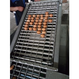 成套鸡蛋定心蒸煮设备-鸡蛋定心蒸煮设备-龙翔工贸机械