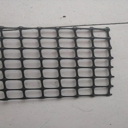睿智土工格栅 路基加筋加固用双向塑料土工格栅 塑料围栏网