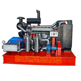 天津标志线清洗机批发商-海威斯特高压泵厂家-天津标志线清洗机