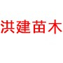 句容市茅山镇洪建苗木种植园