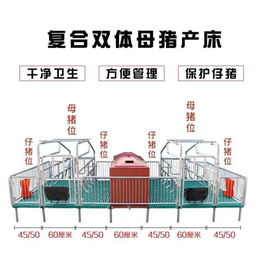 热镀锌管 母猪分娩床 现代化养猪设备双体全复合母猪产床