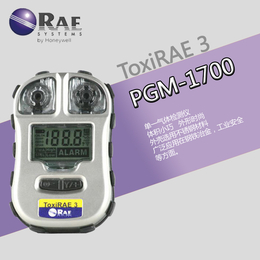美国华瑞PGM-1700单一有体检测仪co气体检测仪