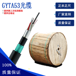 GYTA53光缆 重铠装地埋光缆 24芯直埋光缆