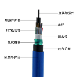 光缆MGTSV 矿用光缆4芯8芯12芯24芯48芯缩略图