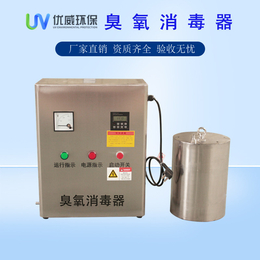 水箱臭氧消毒器300W内置式自洁器可定制生产
