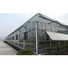 齐鑫温室大棚施工工程-任城区玻璃生态餐厅-玻璃生态餐厅图片