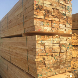 樟子松木材加工厂-友联木材加工-木材加工厂