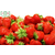 供应华耀L102立体种植草莓架_*量大有优惠缩略图4