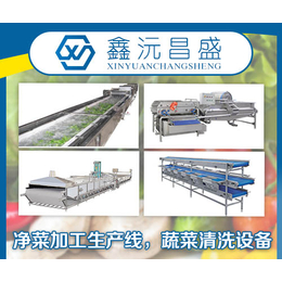 鑫沅昌盛-贵州蔬菜前处理设备-山东蔬菜前处理设备工厂