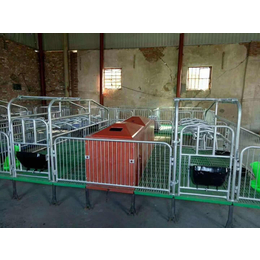 母猪单体双体产床栏猪用分娩床保育床限位栏产床畜牧养殖设备