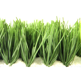 惠州人造草坪价格-立美建材产品品质保证-排球场人造草坪价格