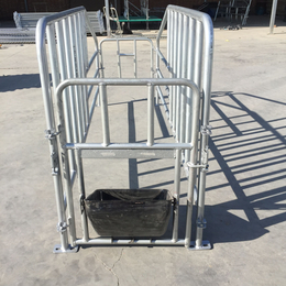 母猪限位栏带漏粪板落地式限位栏养猪猪用设备养猪场设备