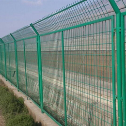 绿色框架护栏网 果园护栏网 铁丝围栏网现货