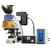 2020款XDS-1B倒置显微镜参数缩略图4