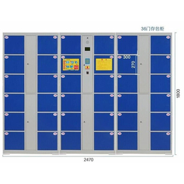阿力格科技-湖北存包柜-图书馆存包柜