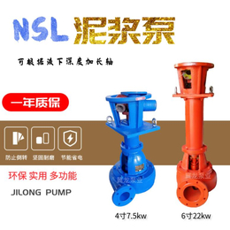 冀龙泵业(图)-立式泥浆泵价格-阜新泥浆泵