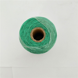塑料捆扎绳-华佳麻绳品质保证-塑料捆扎绳价格