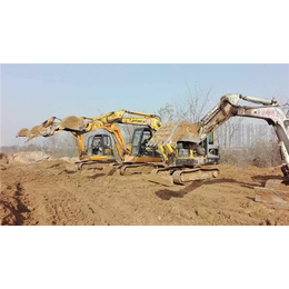 河南短期挖掘机培训-发达挖掘机培训-挖掘机培训