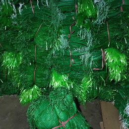 植生袋厂家二月蓝(图)-生态植生袋厂商-漾濞生态植生袋