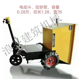 广州电动平板车-耐博士浪兴生产*-工地*电动平板车