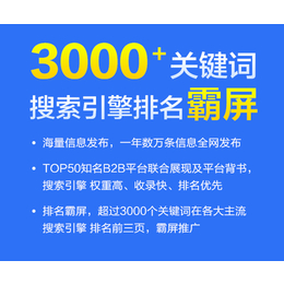 鄂州网络推广-湖北91搜霸-网络推广公司