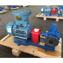 不锈钢齿轮油泵报价-重庆齿轮油泵-北京恒盛泵业公司