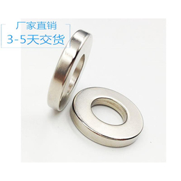 椭圆钕铁硼磁铁-js磁铁准时交货-椭圆钕铁硼磁铁销售