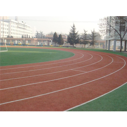 广州舒瑞体育设施发展-白云硅PU塑胶跑道