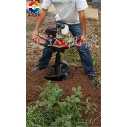 英达机械-挖坑机-移树机土球饱满 竹子移栽挖坑机