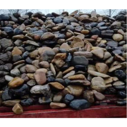 洛阳鹅卵石-永诚园林石材类型丰富-洛阳鹅卵石多少钱一吨