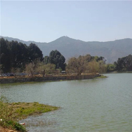 【国泉水处理】景观湖水处理设备-济南景观湖水处理设备制造厂家