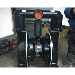 气动隔膜泵型号-气动隔膜泵-山西金龙安采科技