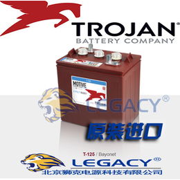 Trojan邱健蓄电池T125 6V240Ah涟源代理商