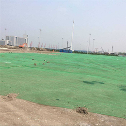 标准防尘网-北京防尘网厂家电话-河北防尘网