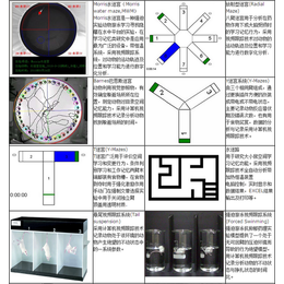 ZH行为学实验站 动物行为学视频分析系统 动物行为学分析软件