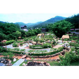 广州温泉景观设备-特色温泉景观设备-天度康体设备(推荐商家)