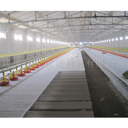 鸡鸭养殖设备型号-淄博鸡鸭养殖设备- 大牧源机械