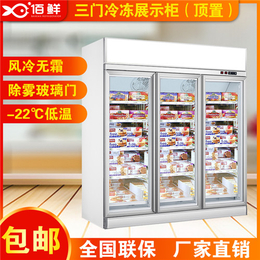 阳江冷冻柜定制-佰鲜制冷质量好-冷冻柜定制厂家